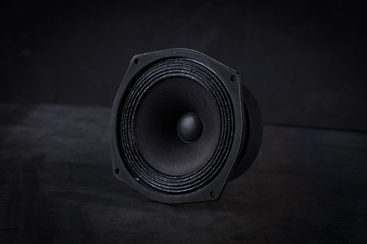 135 LB Haut-parleur large bande 35W / 95dB / 8 Ohms