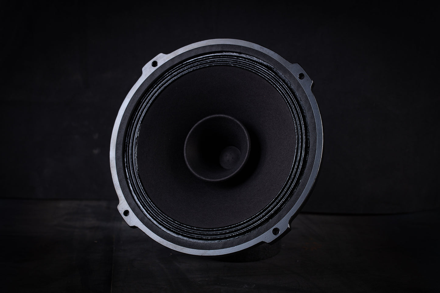 215 Signature Bi-Cône 35W / 94,5dB / 8 Ohms