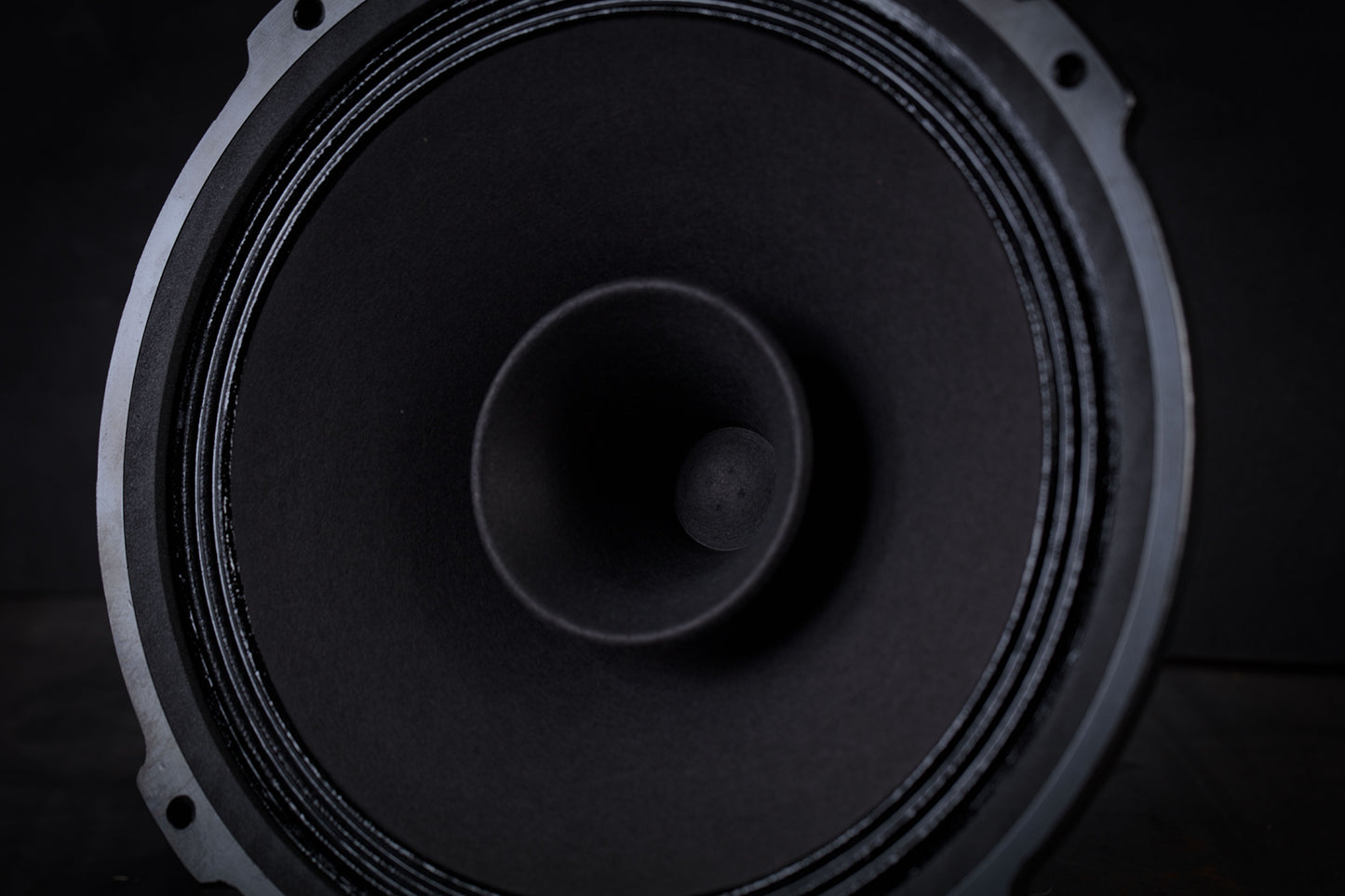 215 Signature Bi-Cône 35W / 94,5dB / 8 Ohms