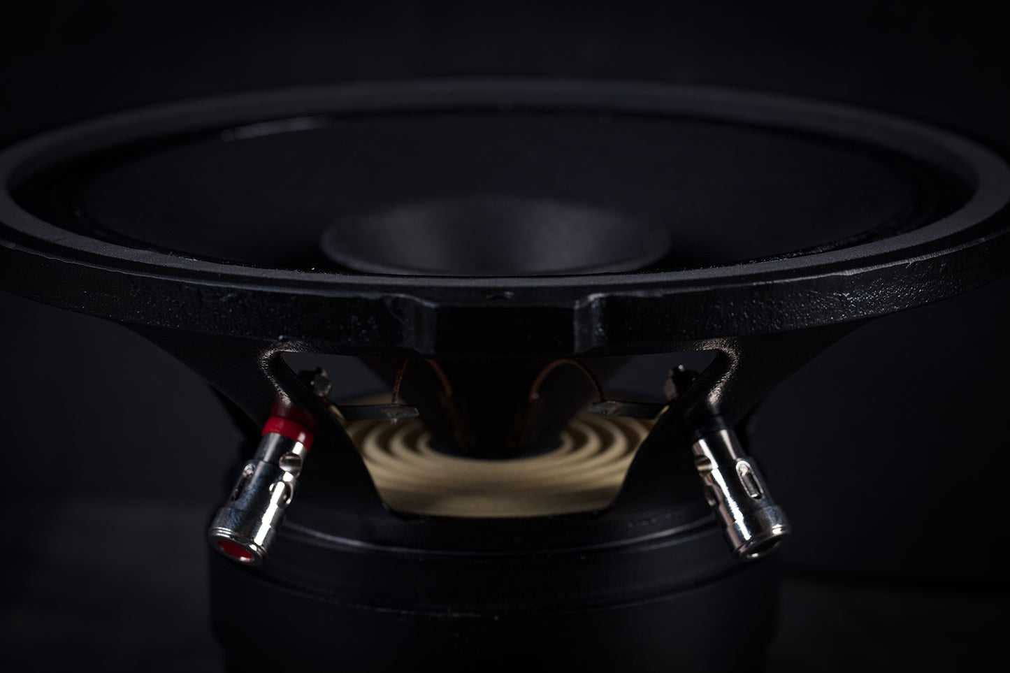 215 Signature Bi-Cône 35W / 94,5dB / 8 Ohms