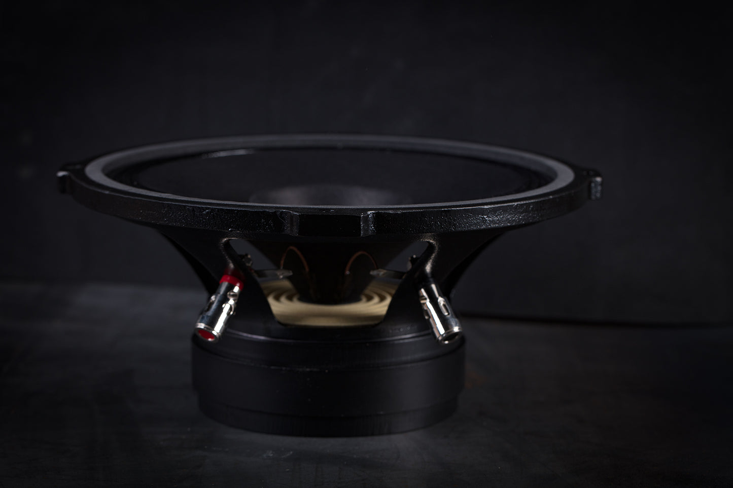 215 Signature Bi-Cône 35W / 94,5dB / 8 Ohms