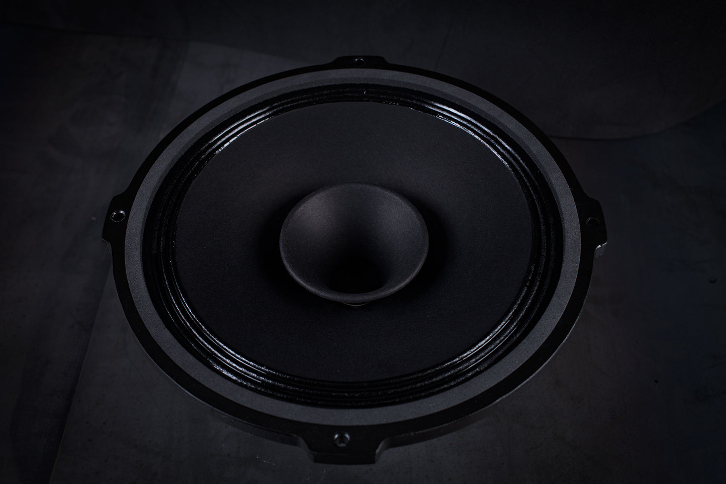 215 Signature Bi-Cône 35W / 94,5dB / 8 Ohms