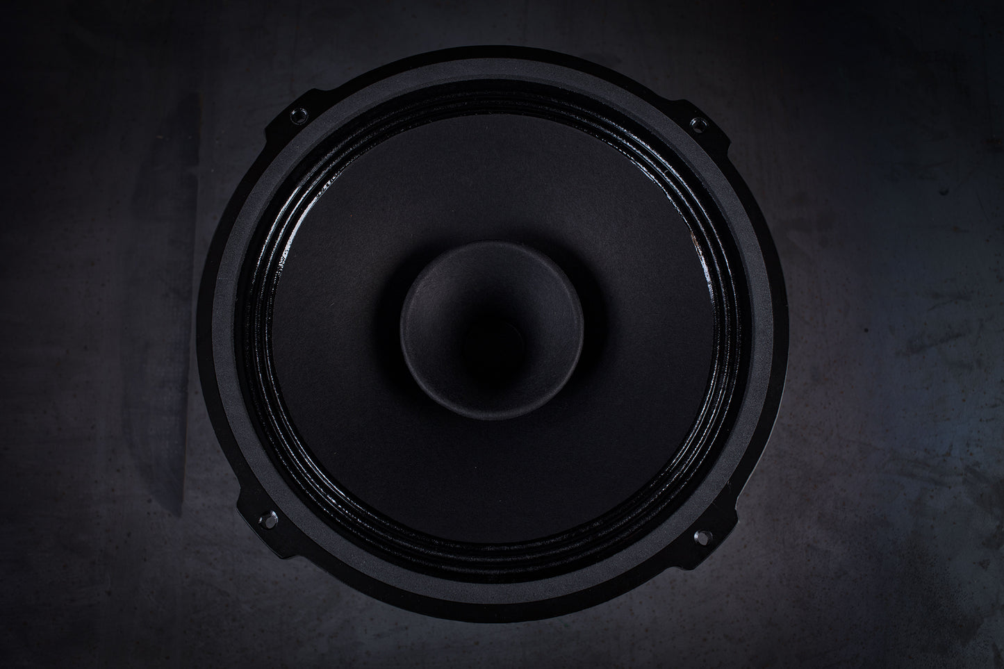 215 Signature Bi-Cône 35W / 94,5dB / 8 Ohms