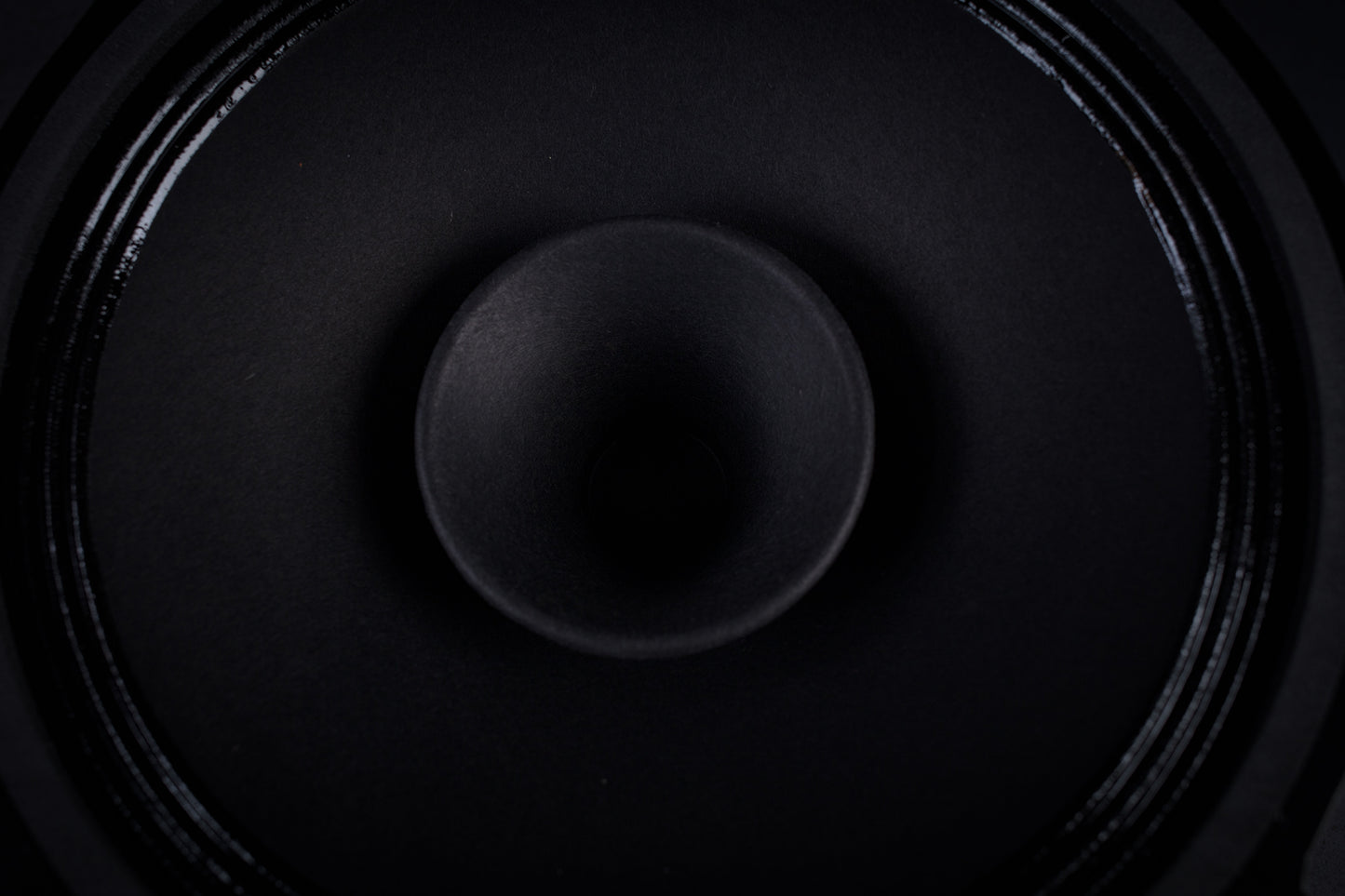 215 Signature Bi-Cône 35W / 94,5dB / 8 Ohms