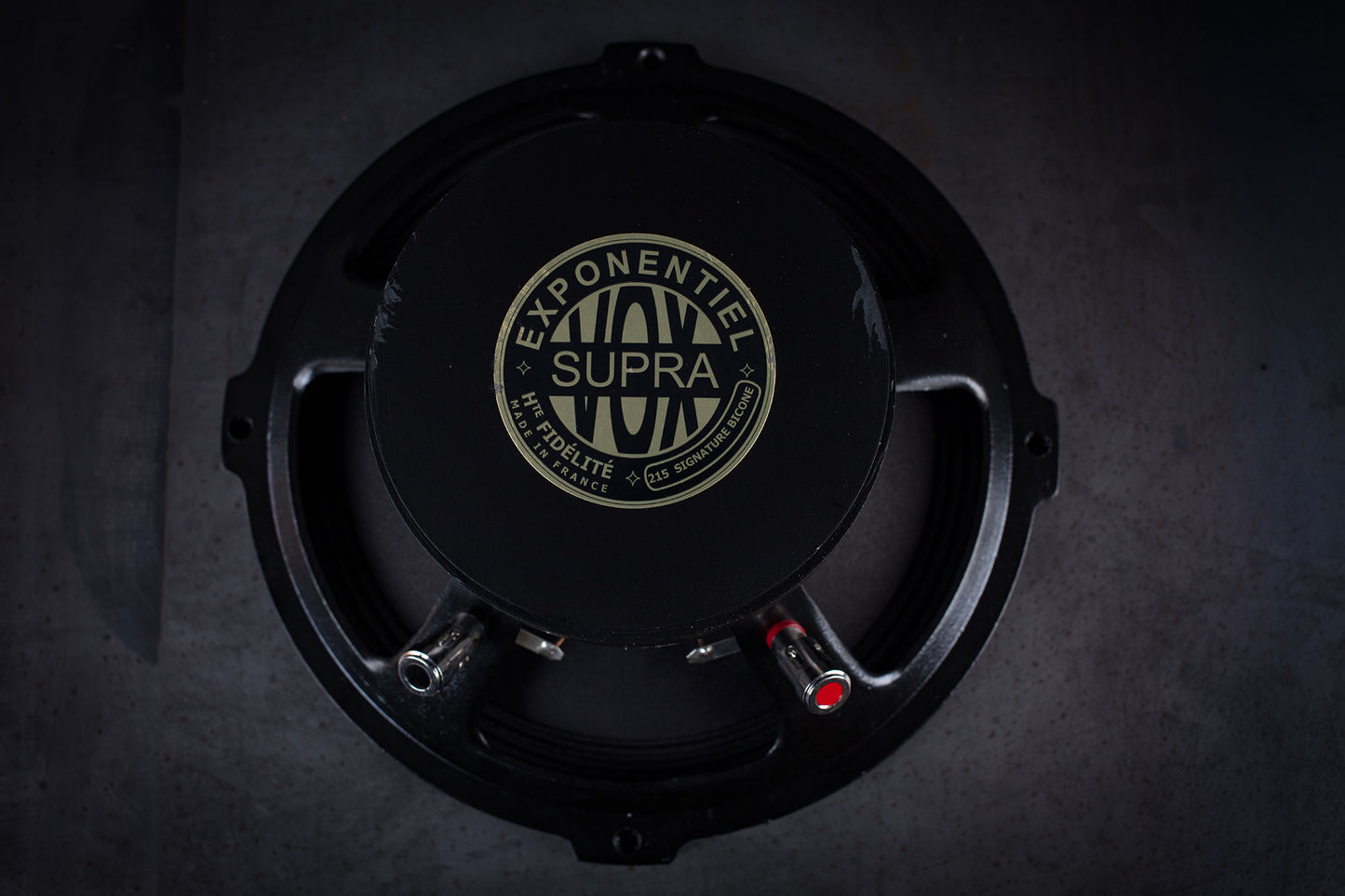 215 Signature Bi-Cône 35W / 94,5dB / 8 Ohms