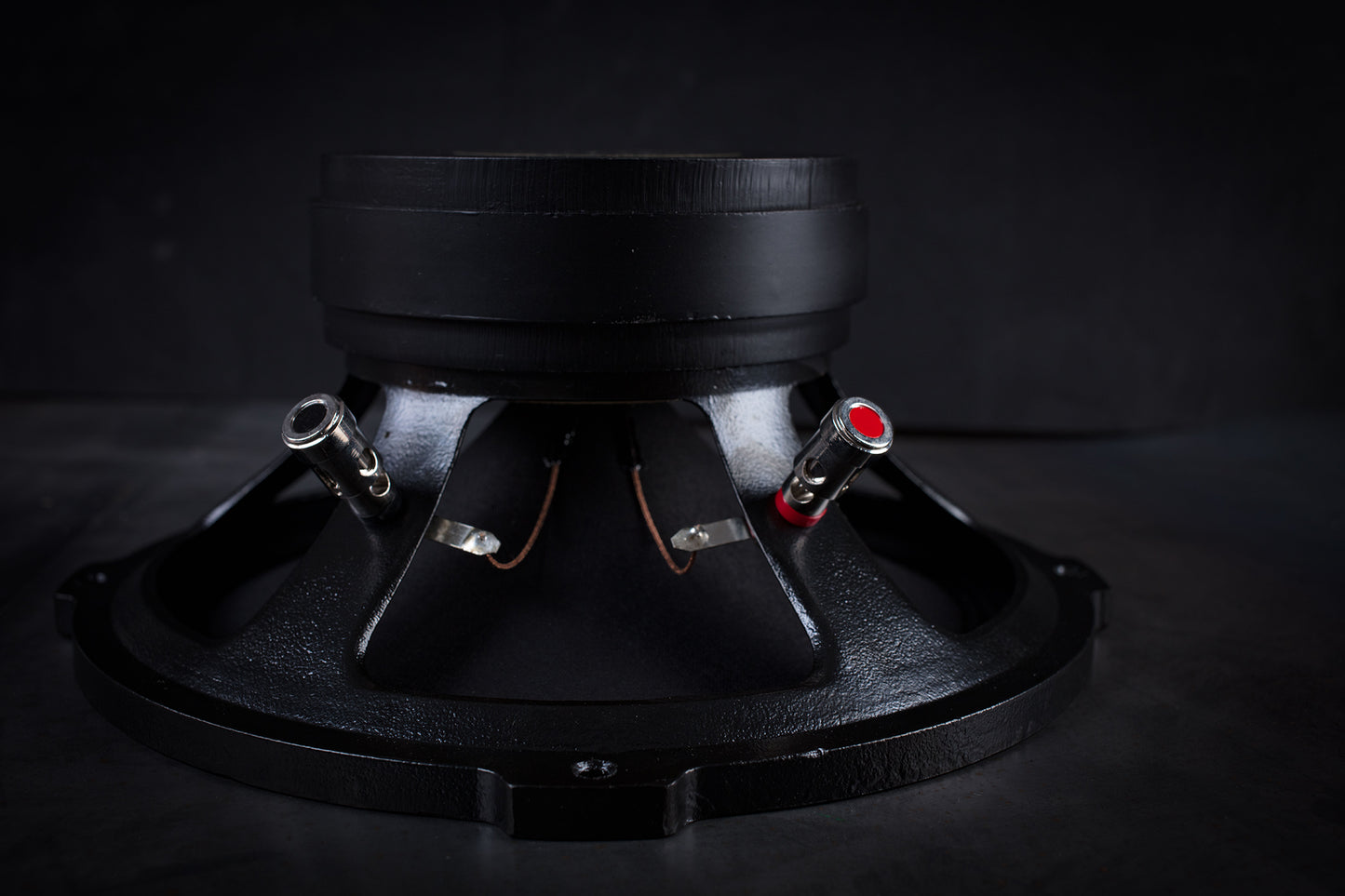 215 Signature Bi-Cône 35W / 94,5dB / 8 Ohms