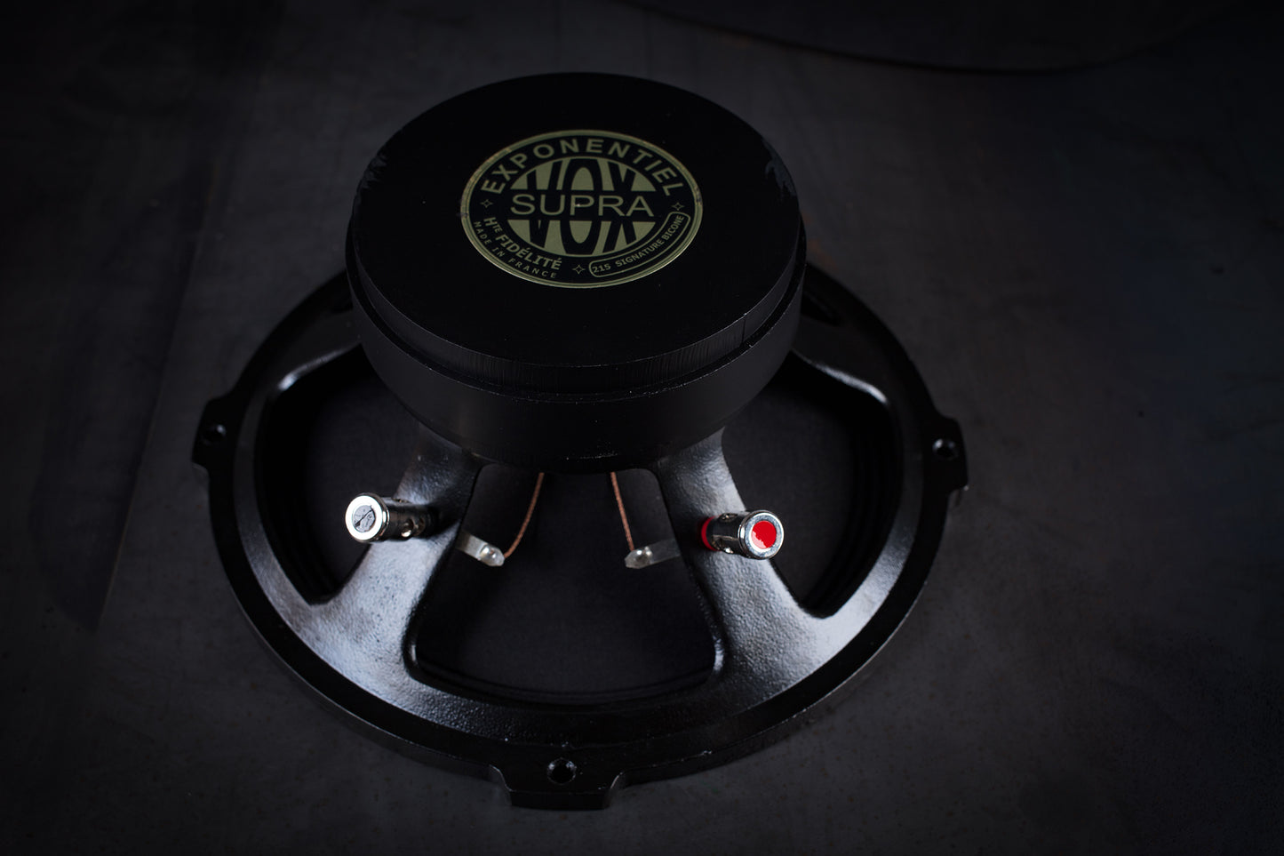 215 Signature Bi-Cône 35W / 94,5dB / 8 Ohms