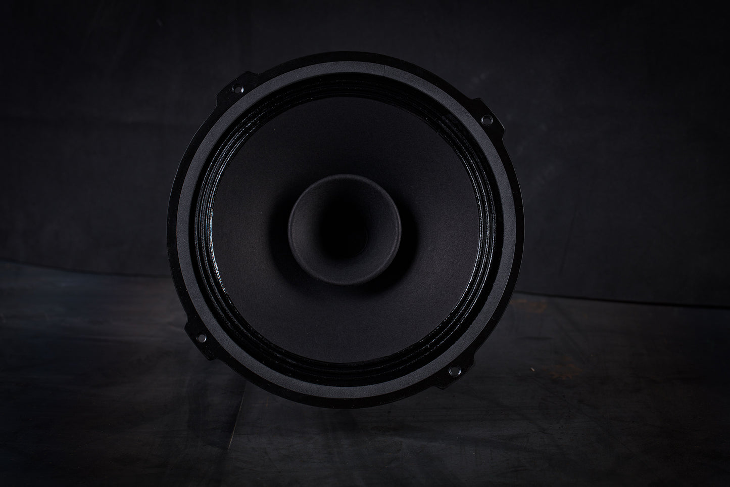 215 Signature Bi-Cône 35W / 94,5dB / 8 Ohms
