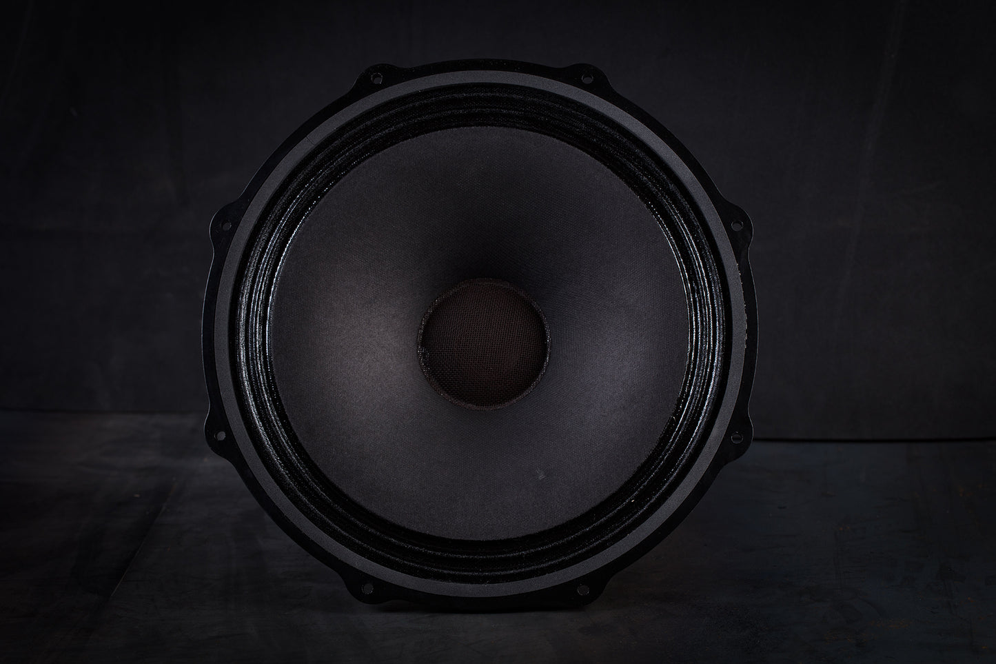 285 GMF Tieftöner 70W / 100dB / 8 Ohm