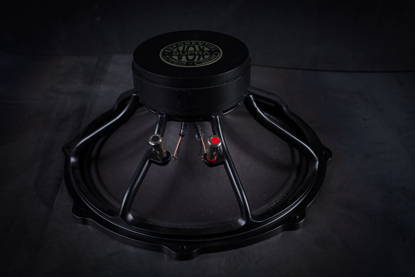 285 GMF Tieftöner 70W / 100dB / 8 Ohm