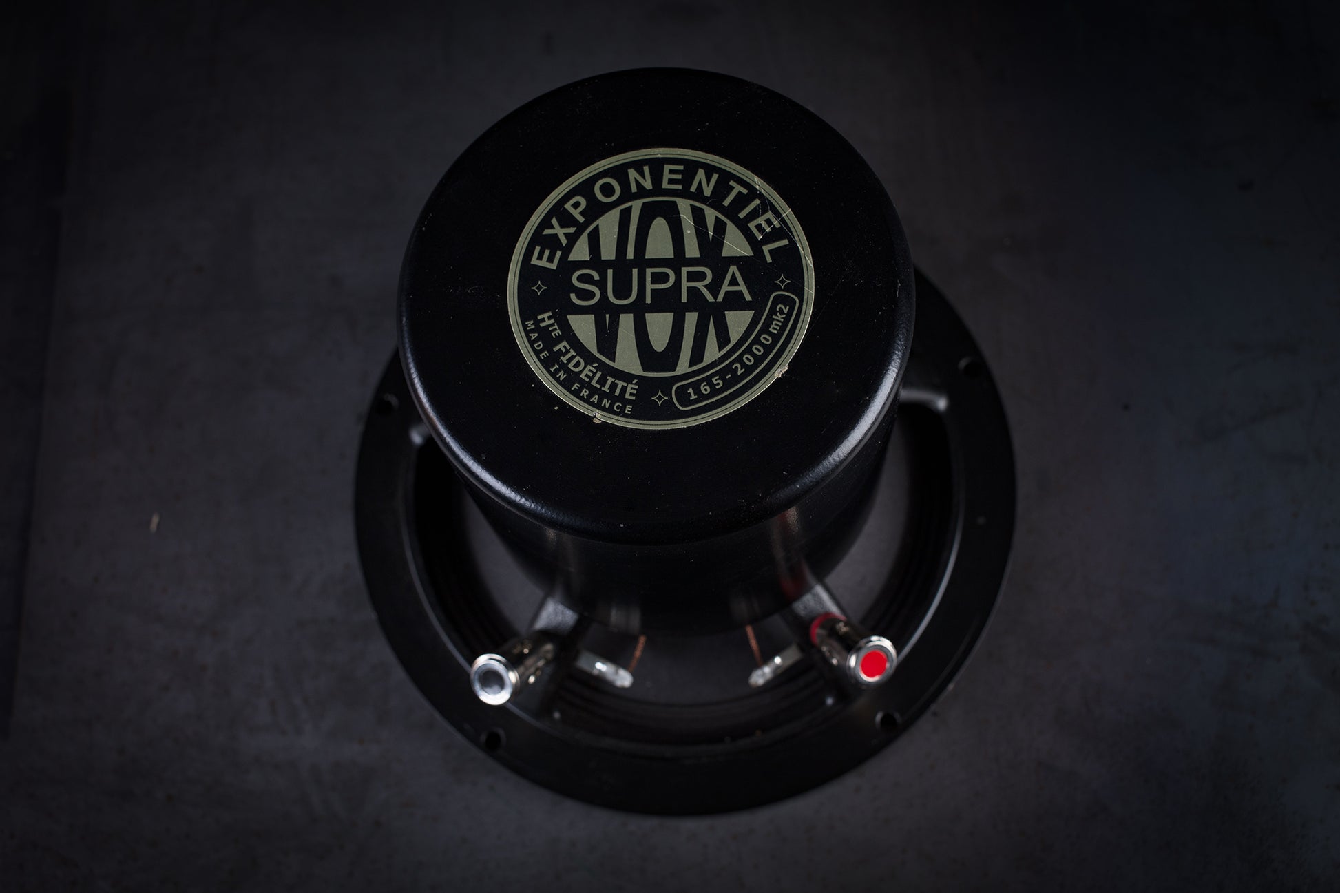 165-2000 mk2 Full range driver 35W / 96.5dB / 6 Ohms – Supravox