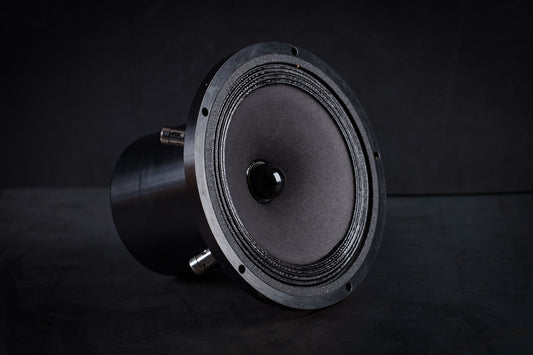 165-2000 mk2 Haut-parleur large bande 35W / 96,5dB / 6 Ohms