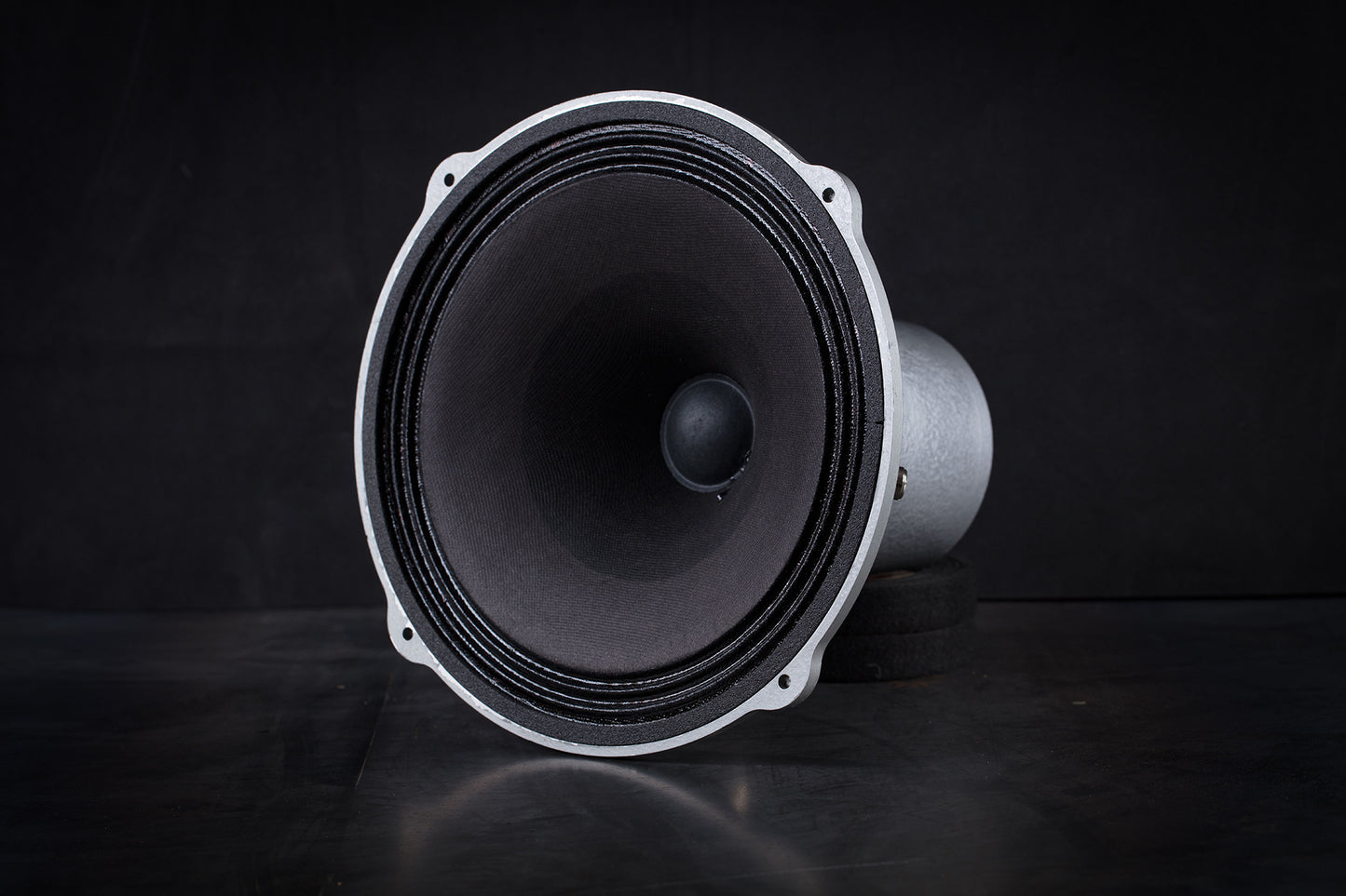 245 Heritage 50W / 101,5dB / 8 Ohm Fullrange-Lautsprecher