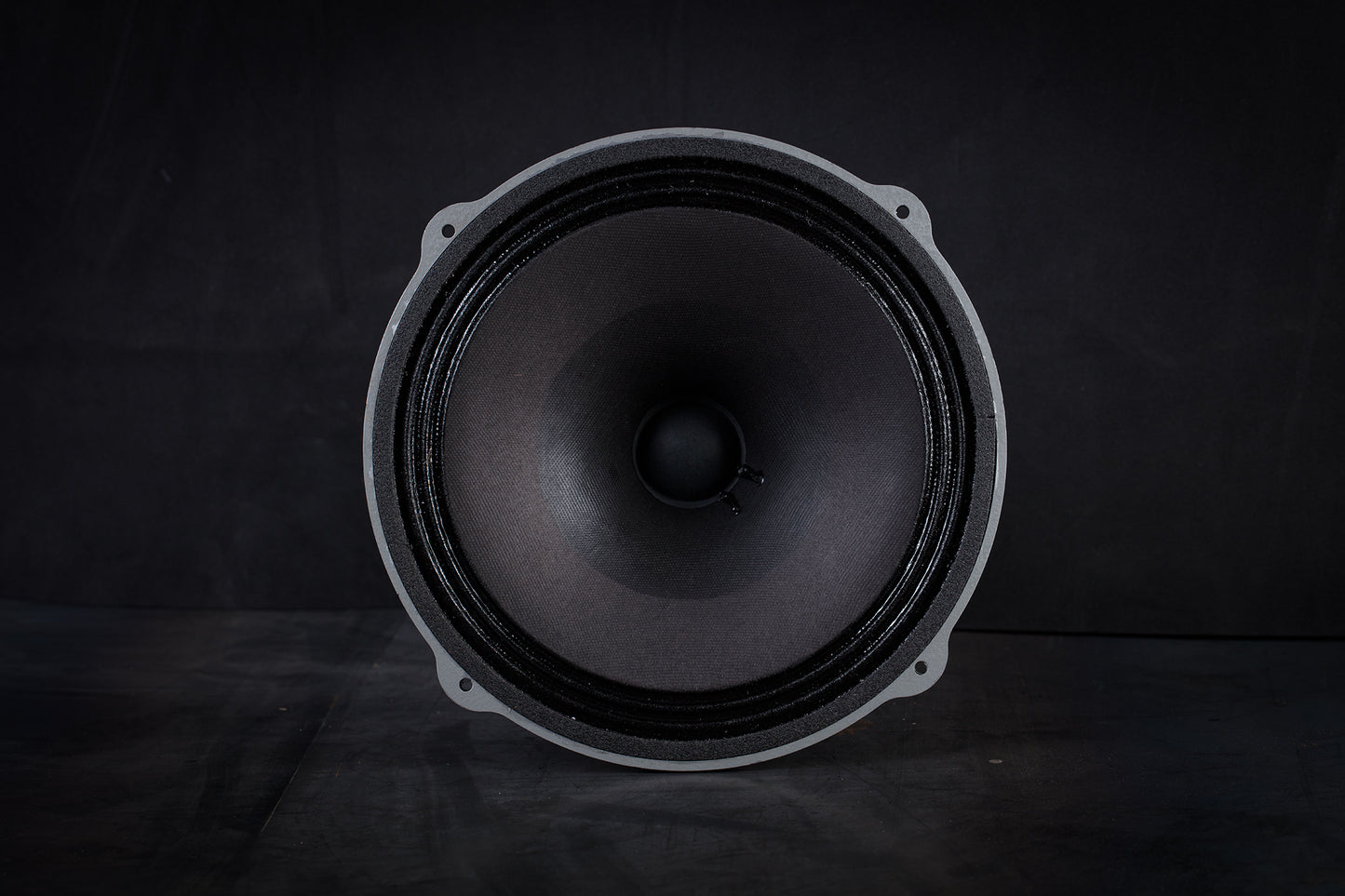 245 Heritage 50W / 101,5dB / 8 Ohm Fullrange-Lautsprecher