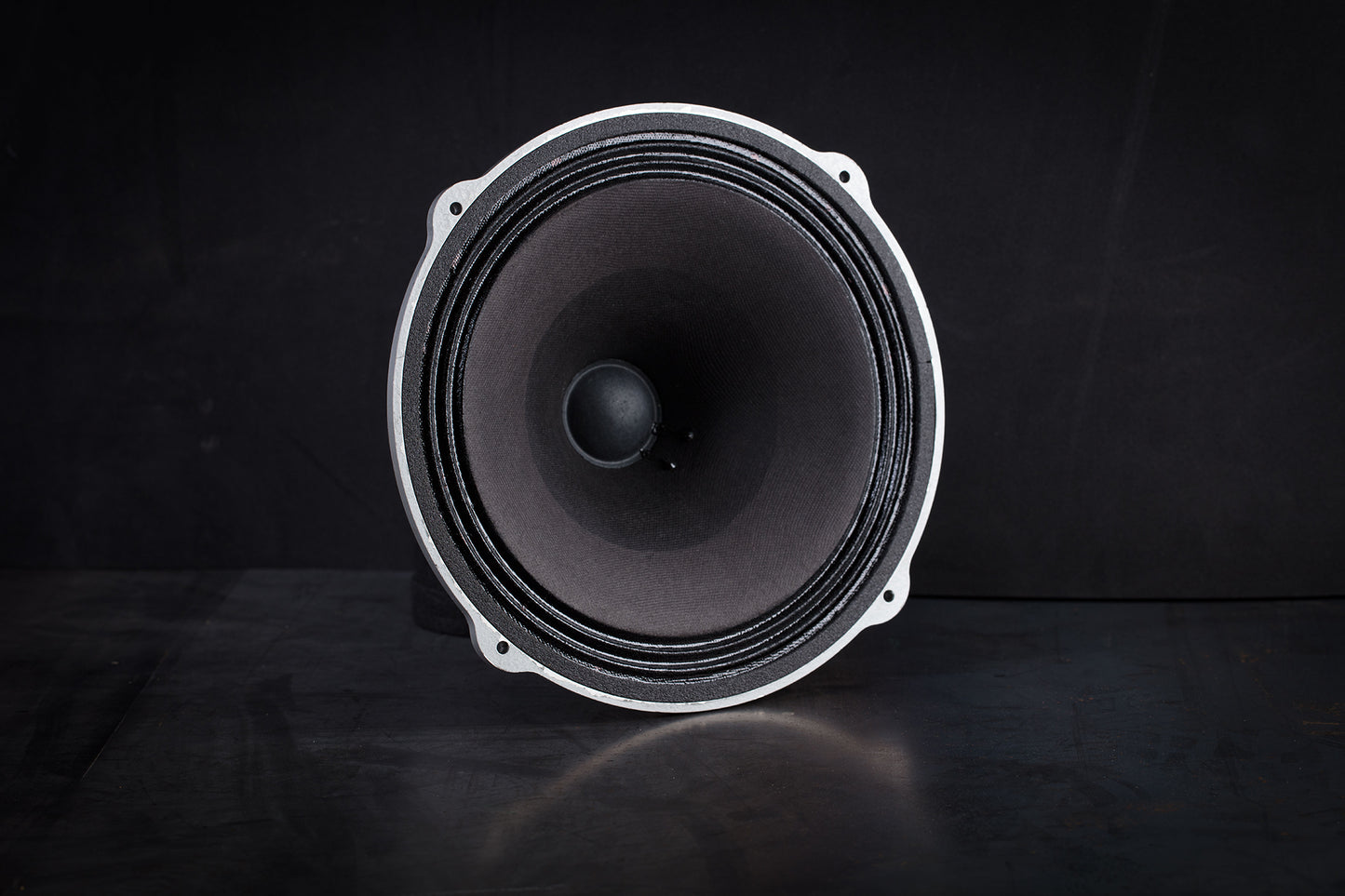 245 Heritage 50W / 101,5dB / 8 Ohm Fullrange-Lautsprecher