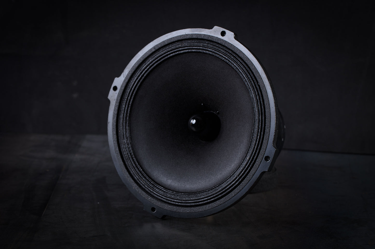 215-EXC mk2 Field-coil Broadband loudspeaker 70W / 93 to 102dB / 6 Ohms