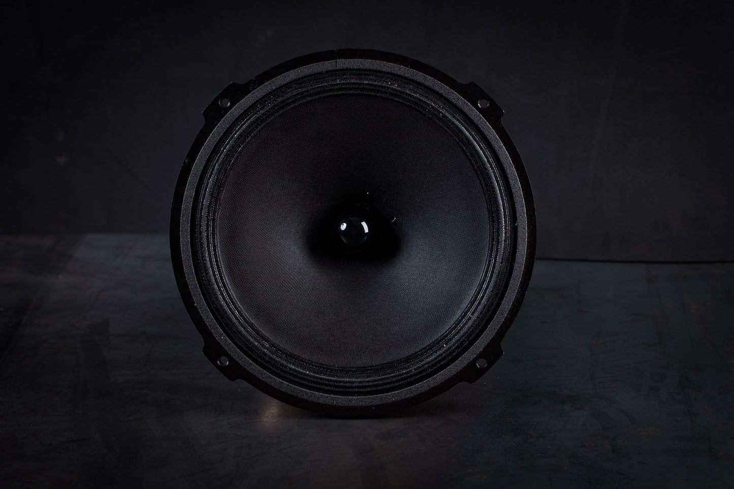 215-EXC mk2 Field-coil Broadband loudspeaker 70W / 93 to 102dB / 6 Ohms