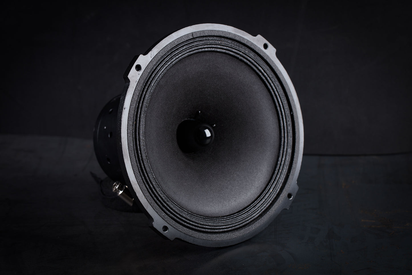 215-EXC mk2 Field-coil Broadband loudspeaker 70W / 93 to 102dB / 6 Ohms