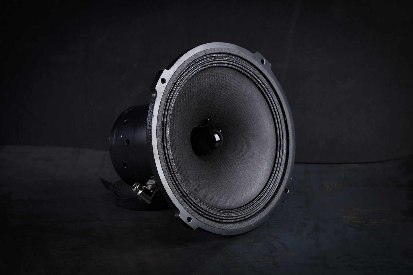 215-EXC mk2 Field-coil Broadband loudspeaker 70W / 93 to 102dB / 6 Ohms