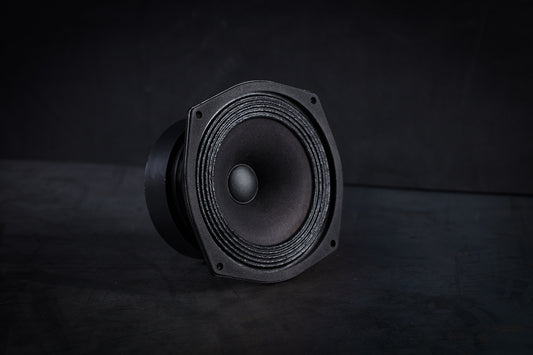 135 LB Haut-parleur large bande 35W / 95dB / 8 Ohms